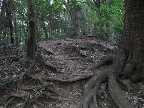 20171005hike (12)